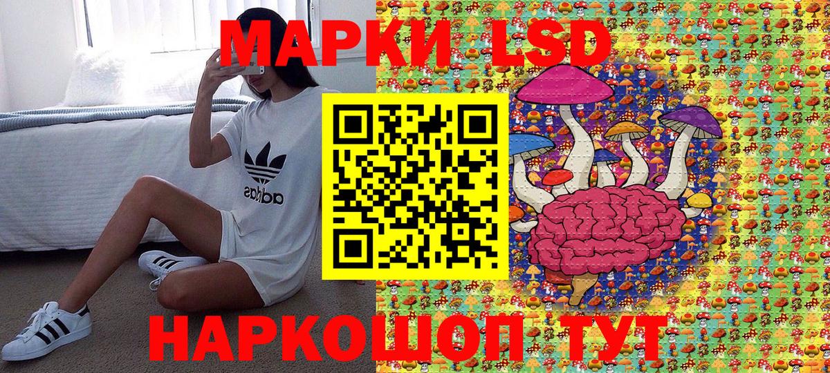 Марки N-bome 1,8мг  цена наркотик  Марки NBOMe  Вход с VPN  Кингисепп  Марки N-bome 1,8мг 