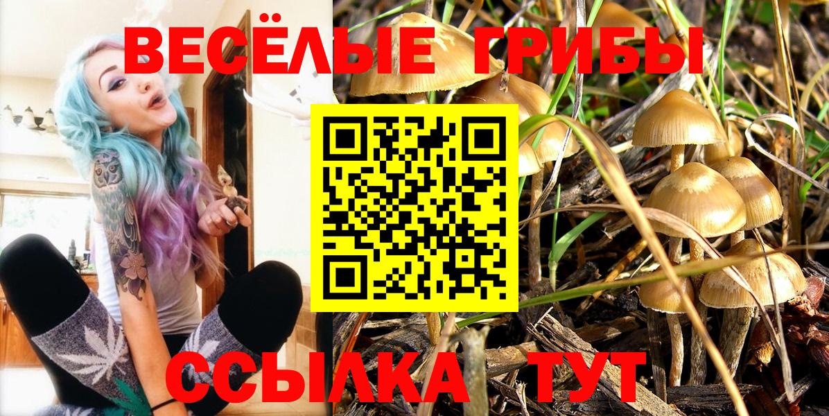 Псилоцибиновые грибы мицелий Кингисепп